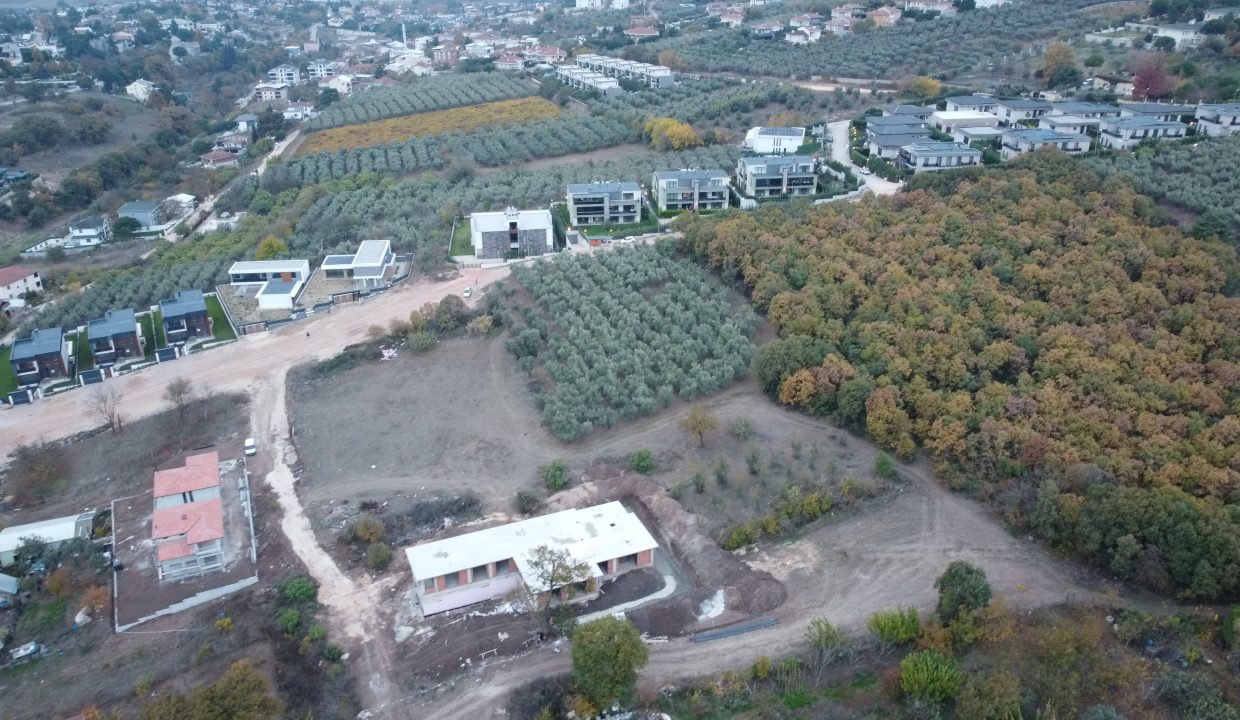 DCIM101MEDIADJI_0584.JPG