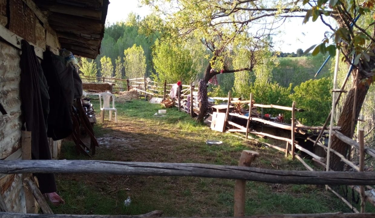 WhatsApp Image 2025-05-26 at 12.00.53(2)