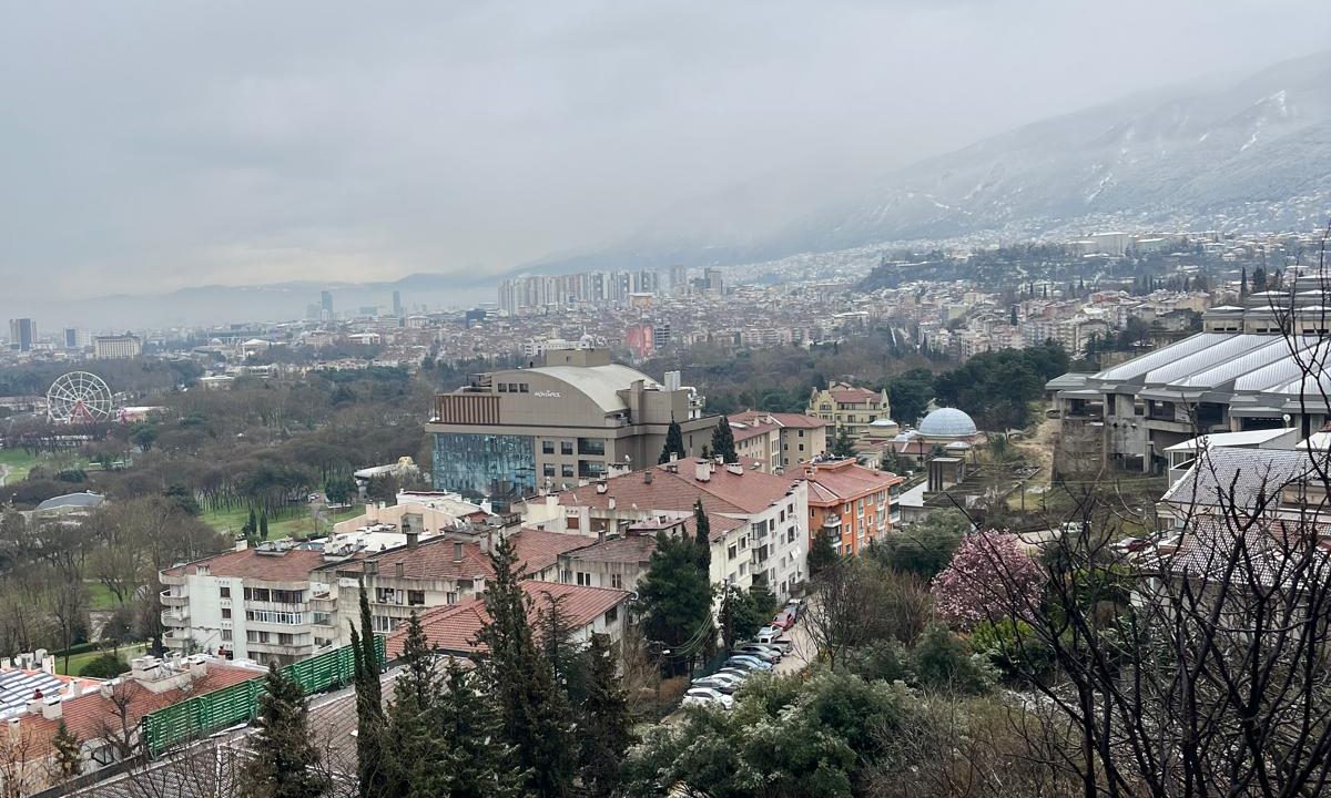 WhatsApp Image 2026-02-26 at 13.09.03