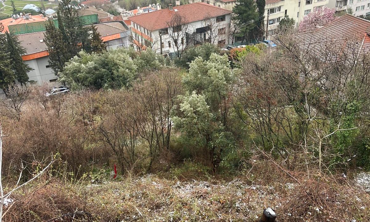 WhatsApp Image 2026-02-26 at 13.09.03 (6)