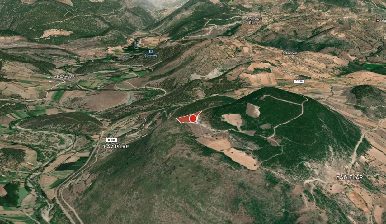 WhatsApp Image 2026-03-04 at 16.49.14 (2)